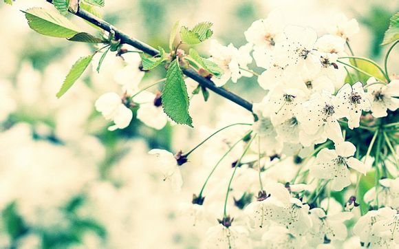 宝宝流鼻涕的偏方大全