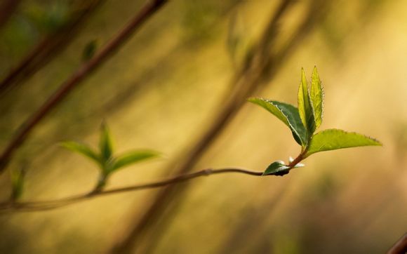 一周岁的宝宝发育标准是什么意思