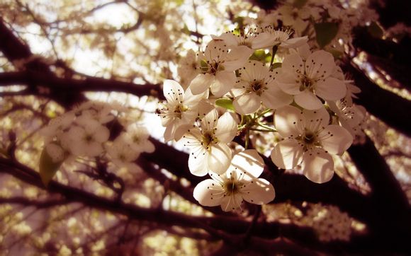 宝宝辅食添加与营养配餐的关系图解
