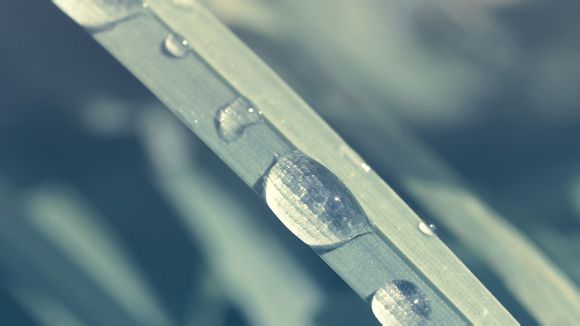 两个月宝宝一天拉两次水便