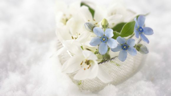 一岁宝宝奶瓶什么牌子的好一点