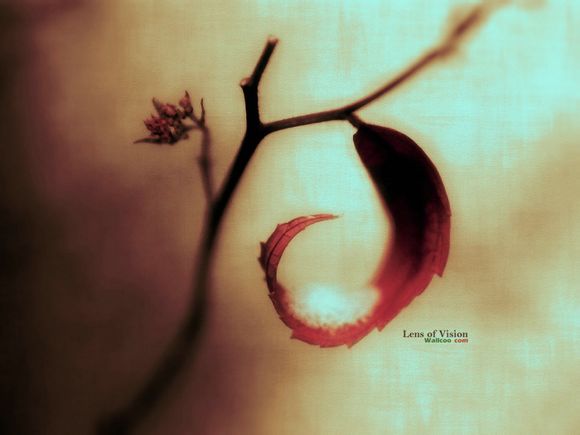 月子生化汤有必要喝吗