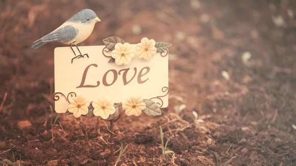 可爱的女孩子的网名