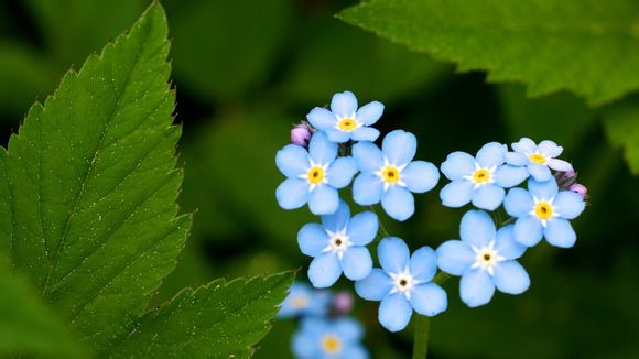 宝宝拉绿色的大便是怎么回事吃什么药