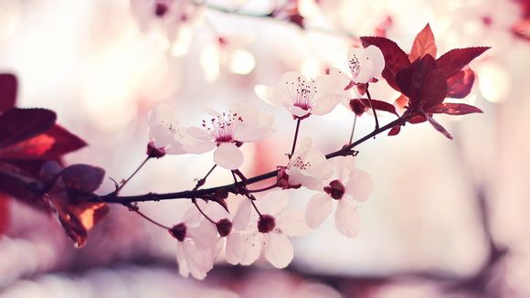 五个月婴儿的发育标准