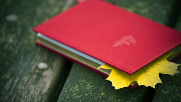 宝宝巴士里的游戏有哪些名字