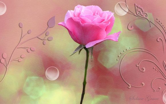 宝宝睡觉不安稳总是哭