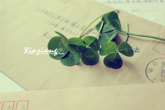 两个月宝宝拉稀拉沫子怎么回事