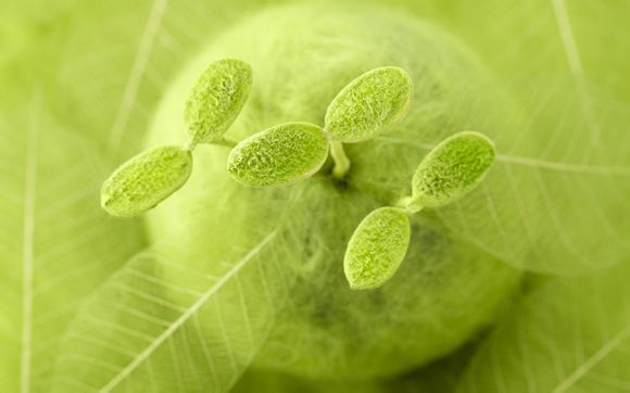 宝宝什么时候可以吃一点盐