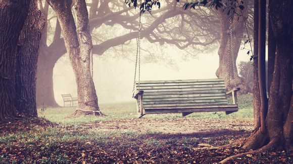 8个月的宝宝吃什么粥有营养