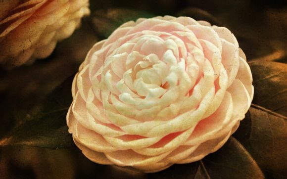 未满月孩子半夜哭闹