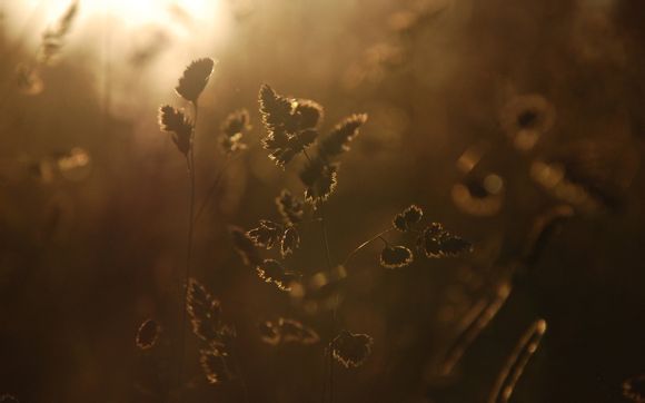 催奶食谱推荐一下