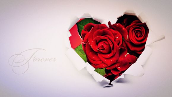 宝宝胎教故事妈妈必读的书有哪些