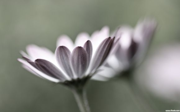 5个月宝宝没吃辅食可以吃水果汁吗一天几次