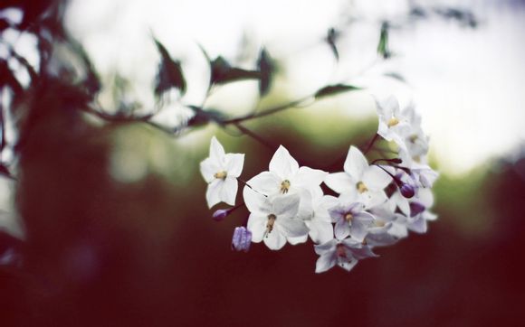 宝宝喝什么奶粉营养比较全面