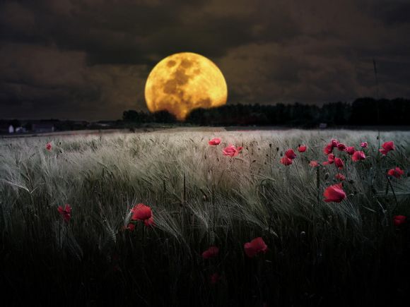 孩子发烧一直38.1退不下来怎么办