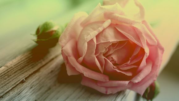 宝宝肠胃不好吃什么东西好