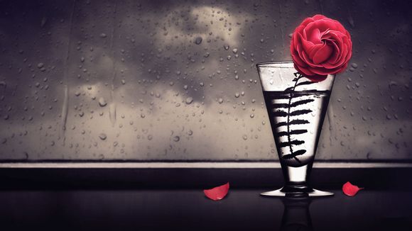 1岁半宝宝拉稀吃什么药好