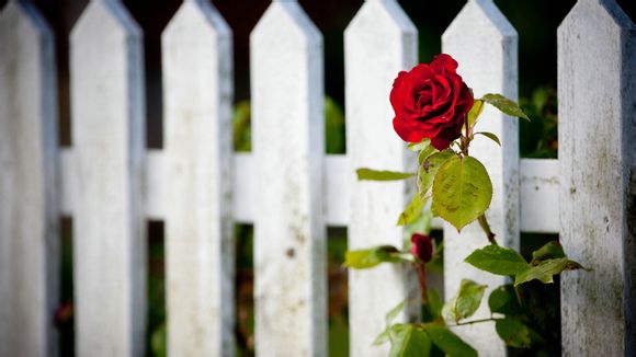 几个月的宝宝才能把尿