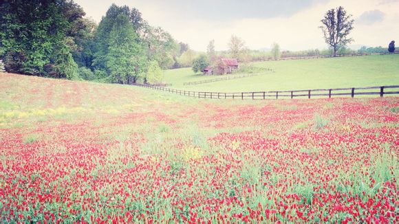 婴儿爱听的音乐有哪些