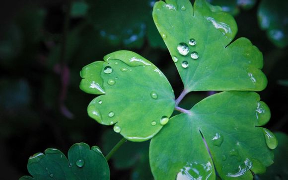 小孩为啥总吐奶呢