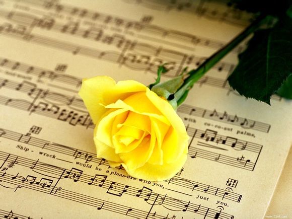 喂母乳吃青菜宝宝拉绿便怎么回事