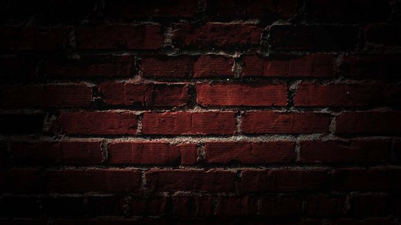 6个月女宝宝发育标准表格