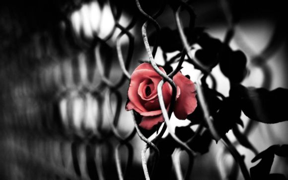 三个月的宝宝发育标准具体有哪些规律呢