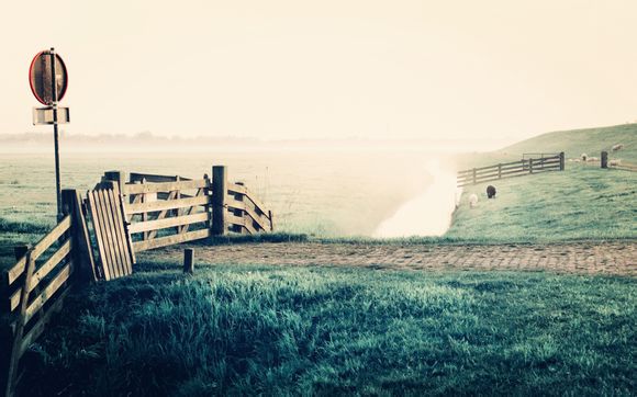 断奶宝宝不懂吸奶嘴只会咬怎么回事