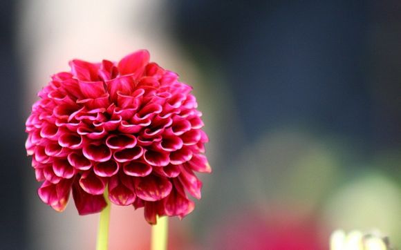 宝宝几个月断奶好呢