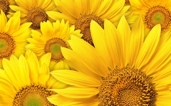 6个月宝宝辅食一天吃多少