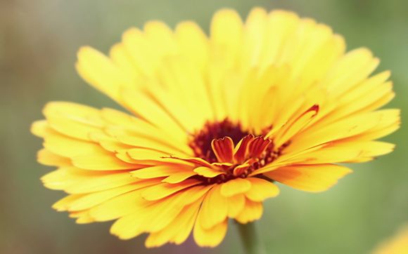 两岁宝宝拉肚子怎么办而且有恶臭怎么回事