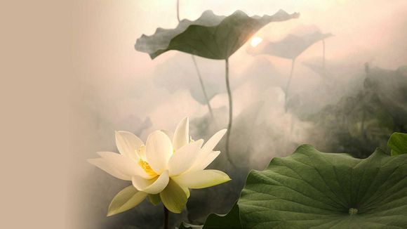 宝宝咳嗽流鼻涕应该吃什么