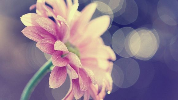 八个月的宝宝睡觉不踏实是什么原因