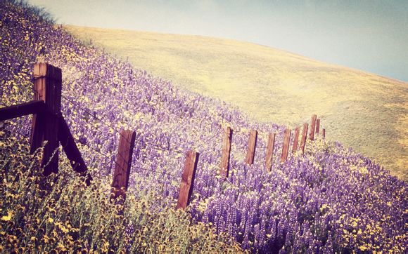 宝宝吃完奶打嗝吐奶怎么办啊