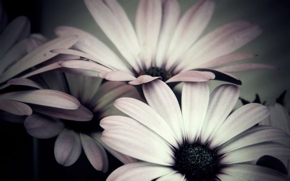 为什么小宝宝一吃奶就睡觉