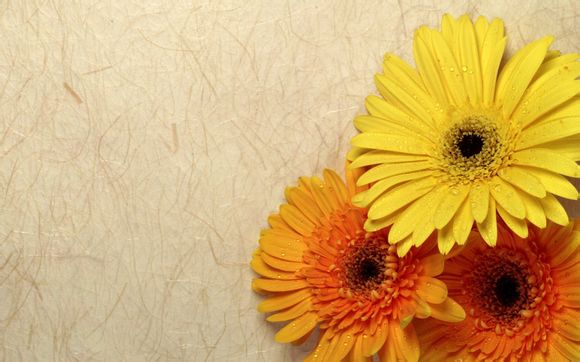 半个月的宝宝拉肚子怎么办吃什么药